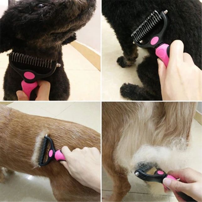 Brosse de toilettage pour animaux