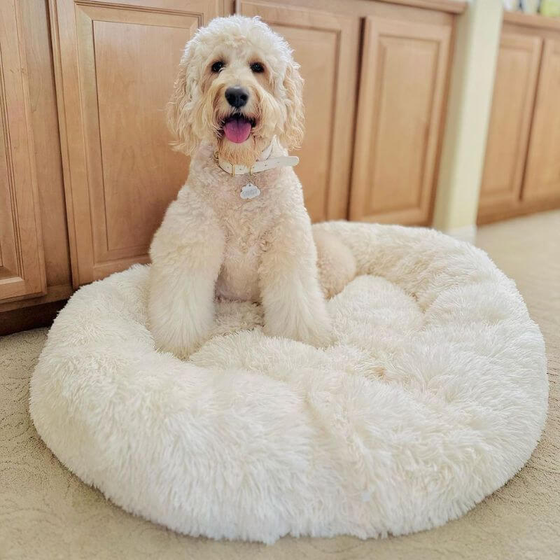 Coussin douillet anti-stress pour chien